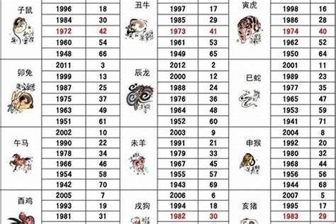 2023年五行屬什麼